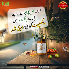 Best Quality Sidr Honey In Pakistan