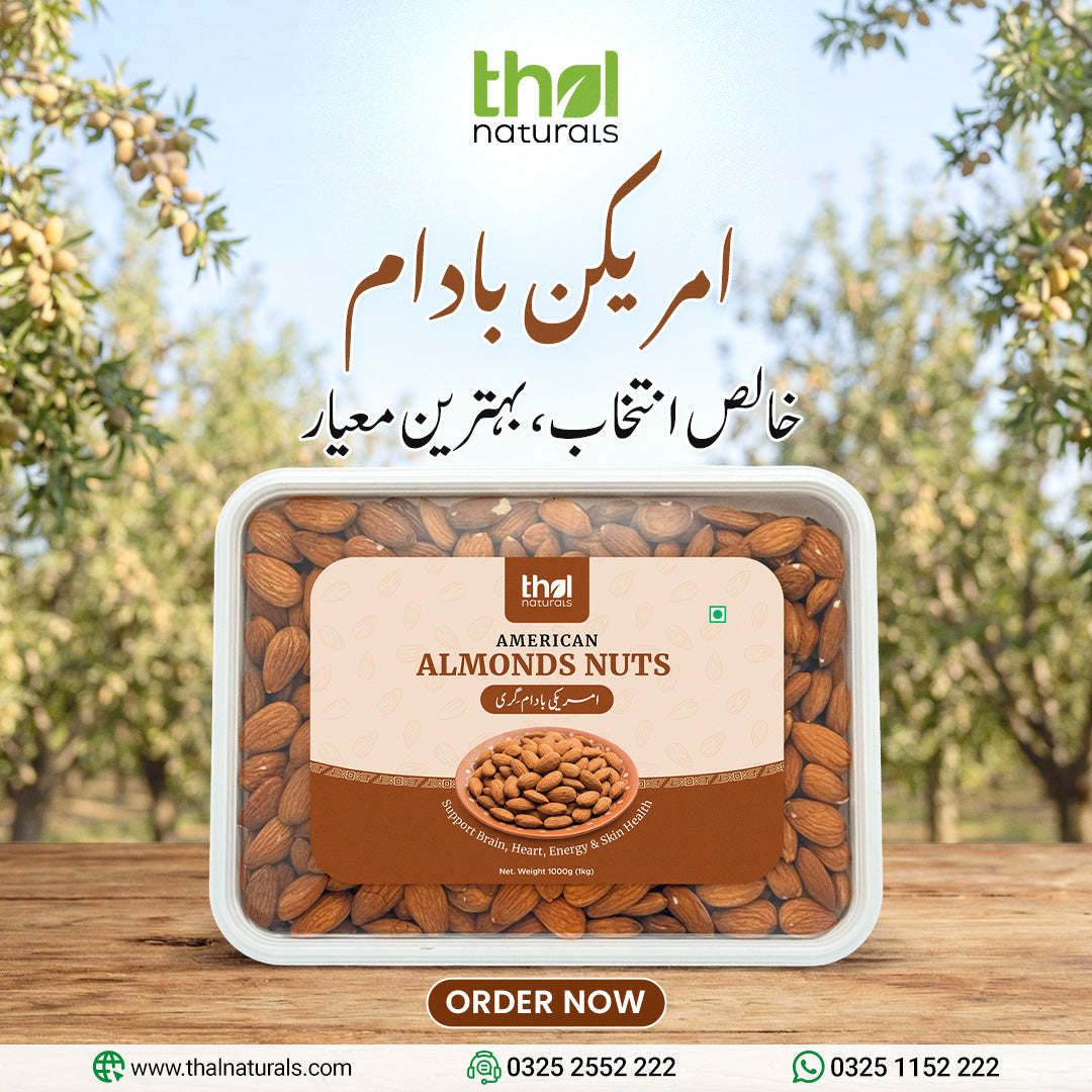 American Almond - Best Badam Price In Pakistan