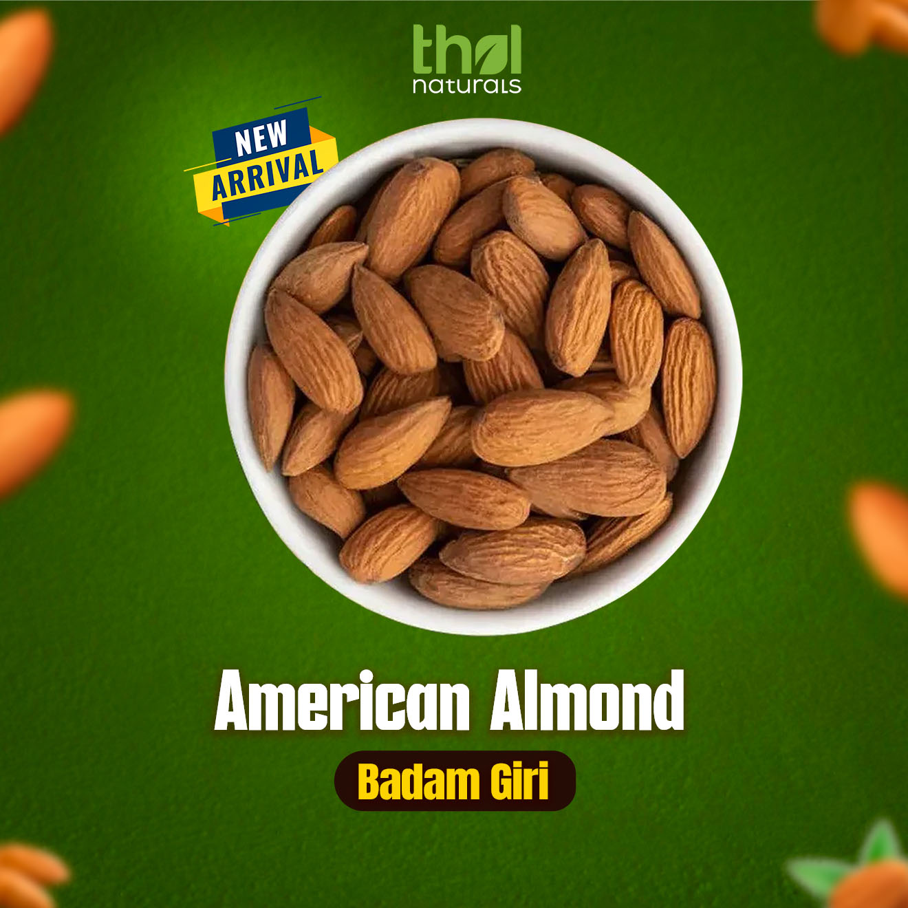 American Almond - Badam Giri