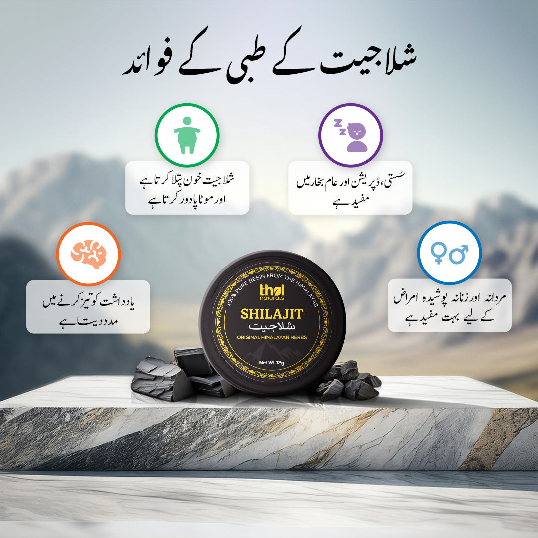 Benefits Of Shilajit