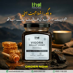 VIGORA Shilajit Honey 10000mg